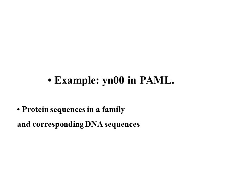 • Example: yn00 in PAML. • Protein sequences in a family and corresponding DNA